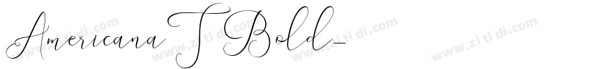 AmericanaT Bold字体转换